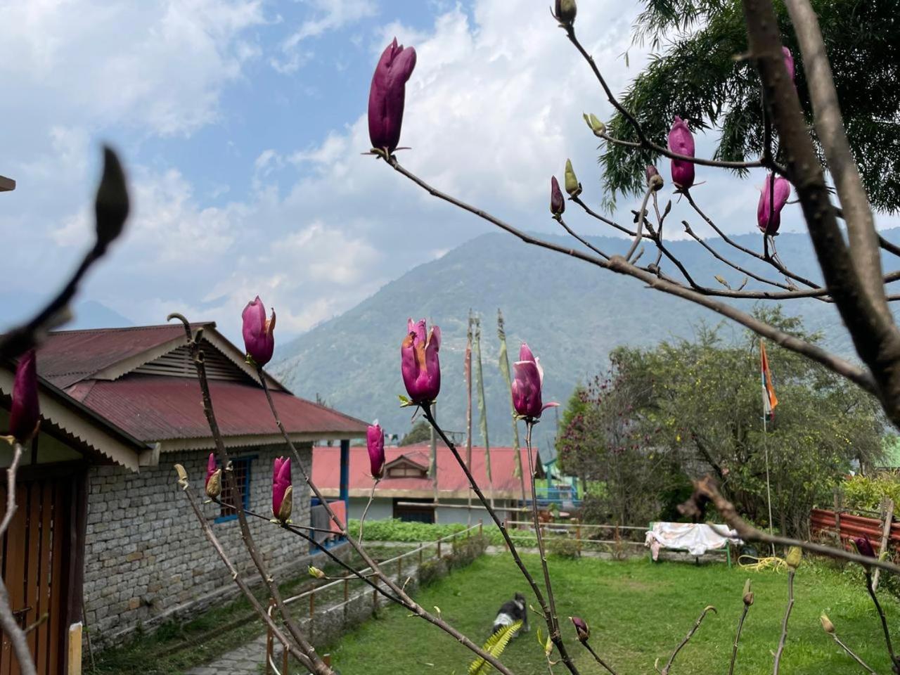 Daragaon Retreat Apartment Pelling Luaran gambar